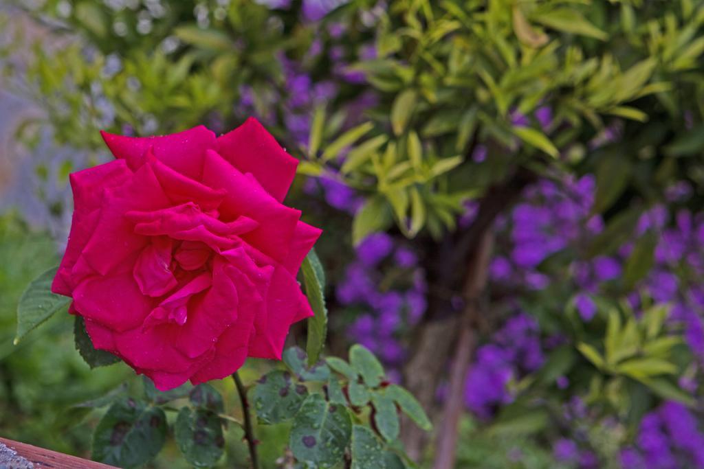 Kalami Studios Dış mekan fotoğraf
